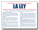 eeo is the law poster - spanish